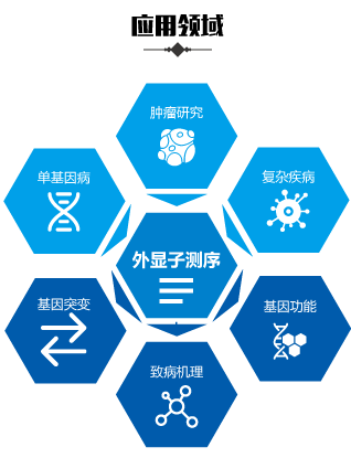 全外显子测序 应用领域.png