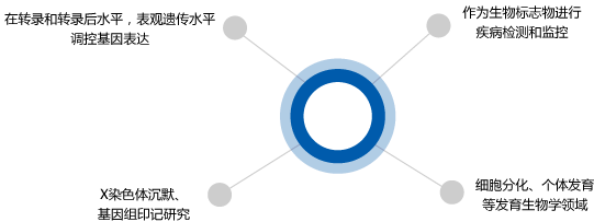 LncRNA应用领域.png